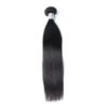 Straight Hair (1 Bundle)