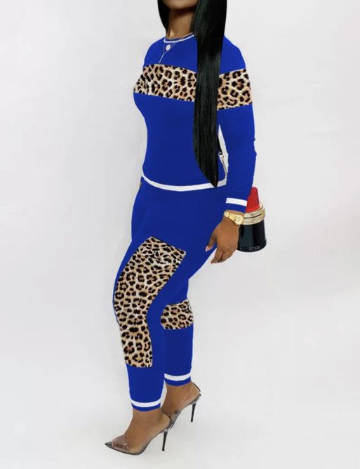 Trendy Solid and Leopard Print